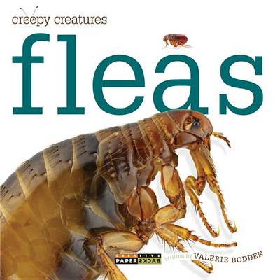 Book cover for Fleas