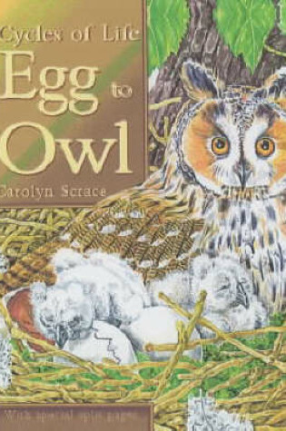 Cover of Egg to Owl