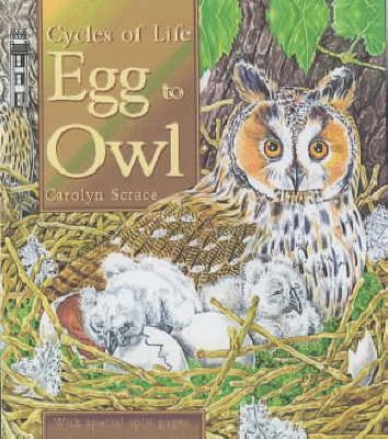 Cover of Egg to Owl