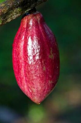 Cover of A Red Cocoa Pod Journal