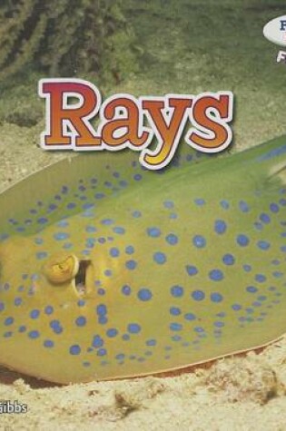 Cover of Rays