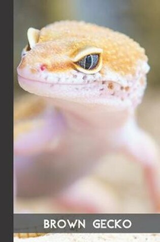 Cover of Brown Gecko