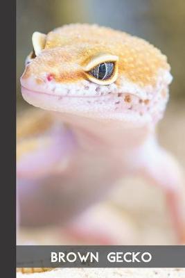 Book cover for Brown Gecko