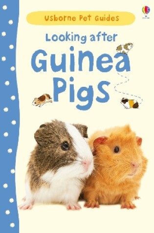 Cover of Looking after Guinea Pigs