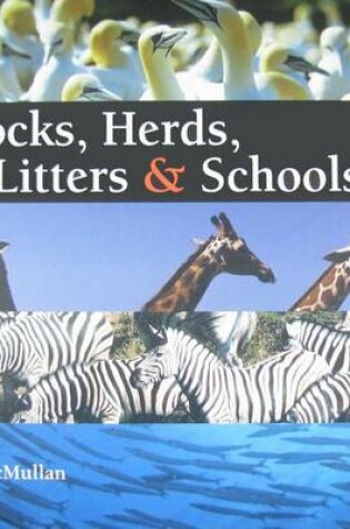 Cover of Flocks, Herds, Litters & Schools