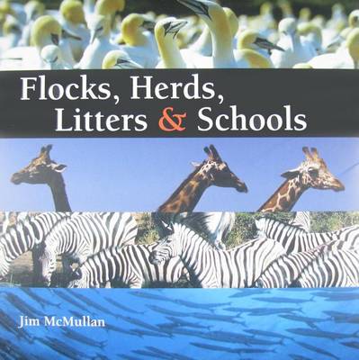 Book cover for Flocks, Herds, Litters & Schools