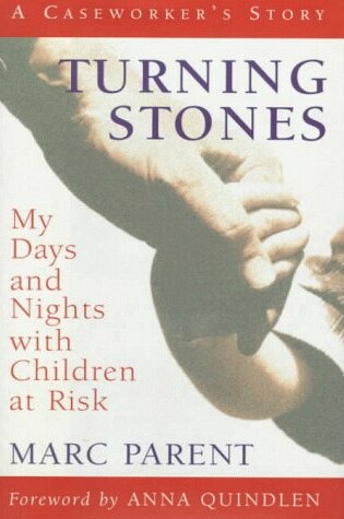 Cover of Turning Stones