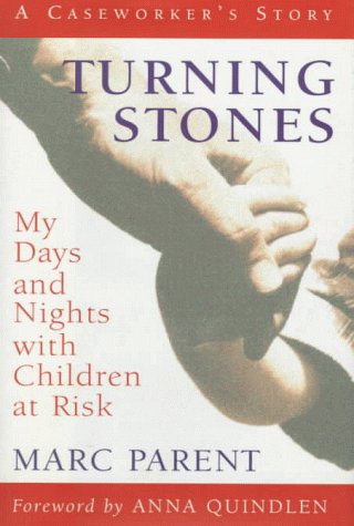 Book cover for Turning Stones