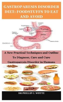 Book cover for Gastroparesis Disorder Diet