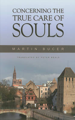 Book cover for Concerning the True Care of Souls