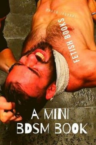 Cover of A Mini BDSM book