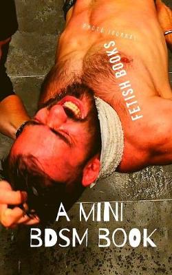 Book cover for A Mini BDSM book