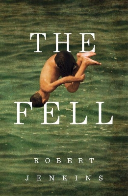 Book cover for The Fell