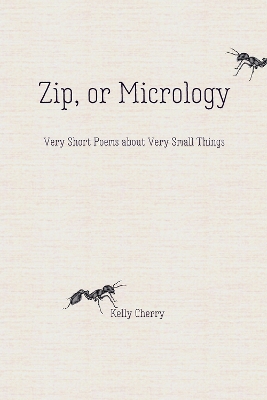 Book cover for Zip, or Micrology