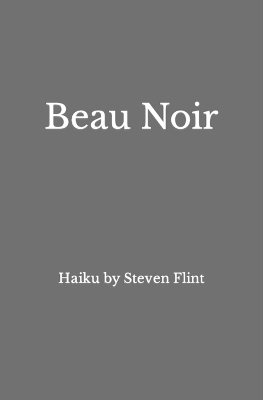 Book cover for Beau Noir