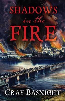 Book cover for Shadows in the Fire