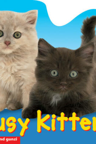 Cover of Busy Kittens