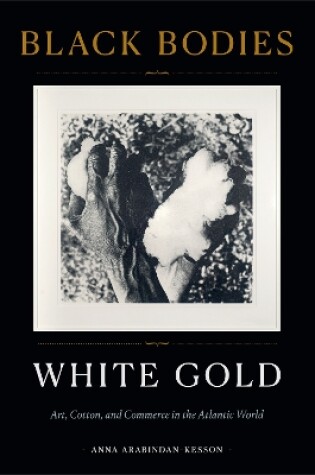 Cover of Black Bodies, White Gold