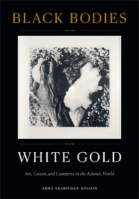 Book cover for Black Bodies, White Gold