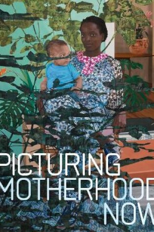 Cover of Picturing Motherhood Now