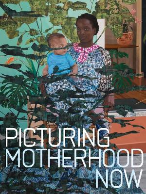 Book cover for Picturing Motherhood Now