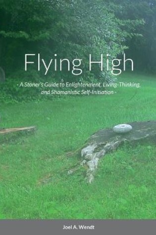 Cover of Flying High