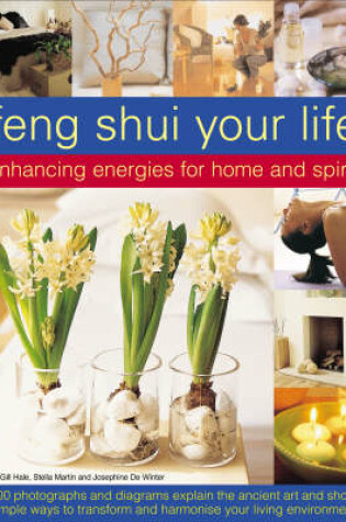 Cover of Feng Shui Your Life
