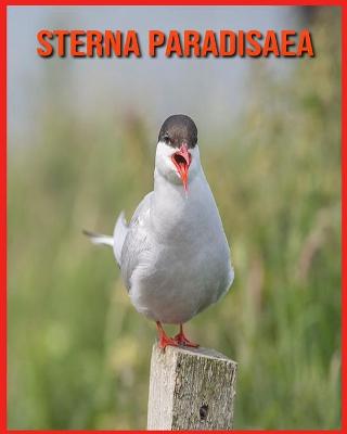 Book cover for Sterna Paradisaea