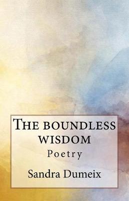 Book cover for The boundless wisdom