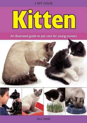 Book cover for I Am Your Kitten