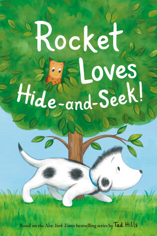 Cover of Rocket Loves Hide-and-Seek!