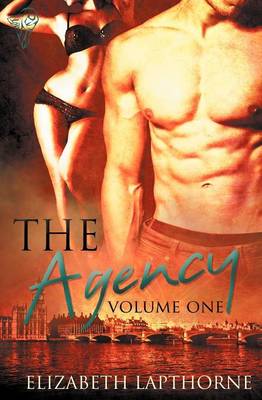 Book cover for The Agency