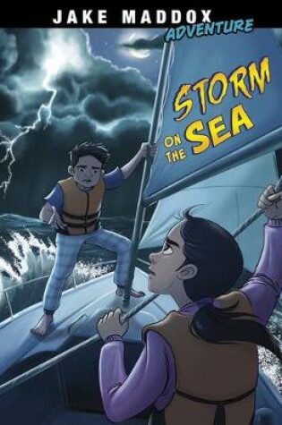 Cover of Storm on the Sea