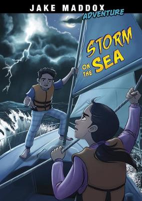 Book cover for Storm on the Sea