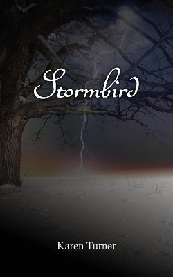 Book cover for Stormbird