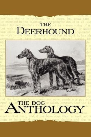 Cover of The Deerhound - A Dog Anthology (A Vintage Dog Books Breed Classic)