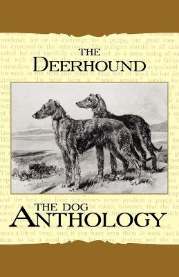 Book cover for The Deerhound - A Dog Anthology (A Vintage Dog Books Breed Classic)