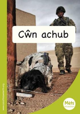 Book cover for Mêts Maesllan: Cŵn Achub