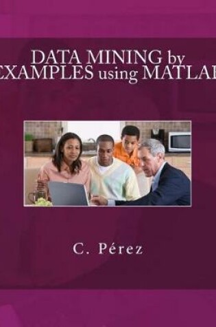 Cover of Data Mining by Examples Using MATLAB