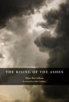 Book cover for Rising of the Ashes