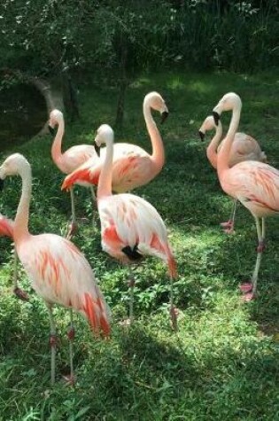 Cover of A Flock of Pink Flamingos Bird Journal