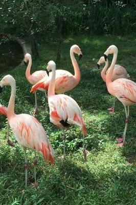 Book cover for A Flock of Pink Flamingos Bird Journal