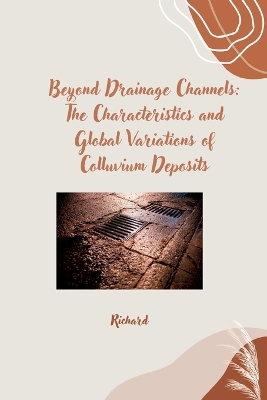 Book cover for Beyond Drainage Channels