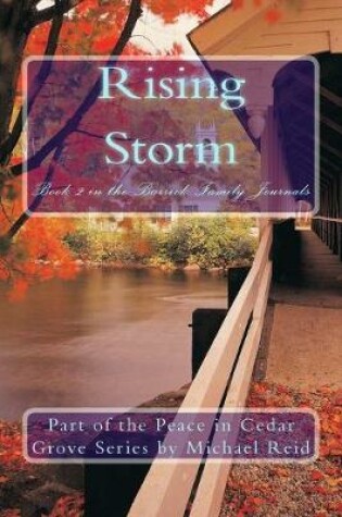 Cover of Rising Storm