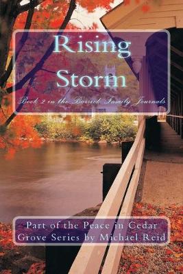 Book cover for Rising Storm