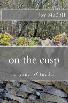 Book cover for on the cusp