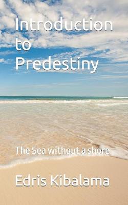 Book cover for Introduction to Predestiny