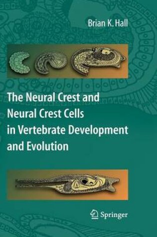 Cover of The Neural Crest and Neural Crest Cells in Vertebrate Development and Evolution