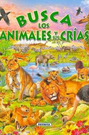Cover of Busca Los Animales y Sus Crias