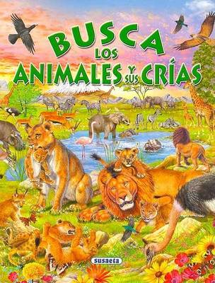 Book cover for Busca Los Animales y Sus Crias